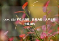 CSGO，战火不熄沙场里，热爱为锚，久不参战会掉分吗
