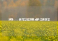 好股114，探寻新能源领域的优质股票