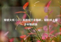 穿越火线（CF）高跳技巧全解析，轻松跃上箱子称霸战场