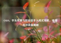 CSGO，平头耳塞与职业选手入耳式耳机，电竞音效装备揭秘