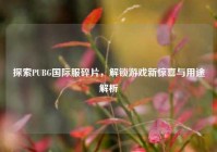 探索PUBG国际服碎片，解锁游戏新惊喜与用途解析