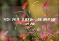 南京小学教师，流浪者在CSGO虚拟战场的自我探寻之旅