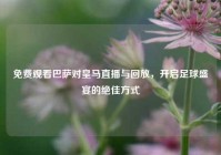 免费观看巴萨对皇马直播与回放，开启足球盛宴的绝佳方式