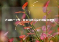 法国瑞士之战，比分预测与背后的跌宕激情