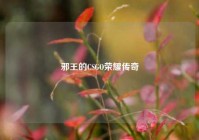 邪王的CSGO荣耀传奇