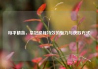 和平精英，皇冠巅峰特效的魅力与获取方式