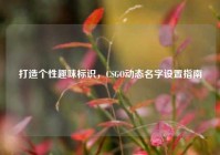 打造个性趣味标识，CSGO动态名字设置指南