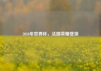 2018年世界杯，法国荣耀登顶