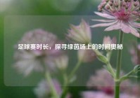 足球赛时长，探寻绿茵场上的时间奥秘