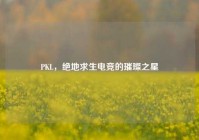 PKL，绝地求生电竞的璀璨之星