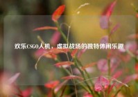 欢乐CSGO人机，虚拟战场的独特休闲乐趣