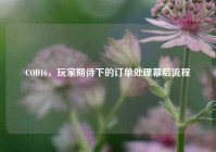 COD16，玩家期待下的订单处理幕后流程