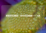 绝地求生端游，空中命运航船——飞机