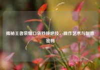 揭秘王者荣耀口袋秒换绝技，操作艺术与制胜密码
