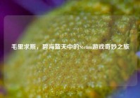 毛里求斯，碧海蓝天中的Steam游戏奇妙之旅