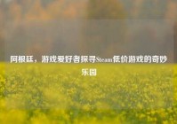 阿根廷，游戏爱好者探寻Steam低价游戏的奇妙乐园