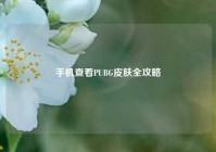 手机查看PUBG皮肤全攻略
