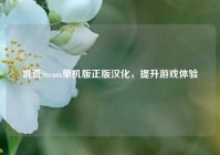 饥荒Steam单机版正版汉化，提升游戏体验