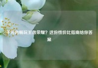 千元内畅玩王者荣耀？这份性价比指南给你答案