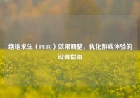 绝地求生（PUBG）效果调整，优化游戏体验的设置指南