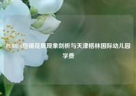 PUBG 8倍镜花屏现象剖析与天津格林国际幼儿园学费