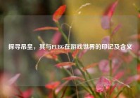 探寻吊皇，其与PUBG在游戏世界的印记及含义