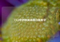 CSGO中的极简高雅白系美学