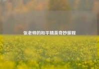 张老师的和平精英奇妙旅程