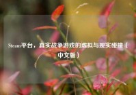 Steam平台，真实战争游戏的虚拟与现实碰撞（中文版）