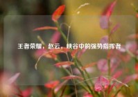 王者荣耀，赵云，峡谷中的强势指挥者