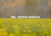 揭秘，如何获得CF冠军柯尔特