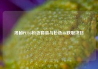 揭秘PUBG粉色套装与粉色AK获取攻略