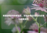 弗朗西斯向姚明借钱，球场外情谊背后的故事与剧集探寻