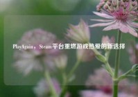 PlayAgain，Steam平台重燃游戏热爱的新选择