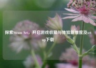 探索Steam Set，开启游戏收藏与体验新维度及setup下载