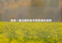 渴望一睹安娜的和平精英精彩视频