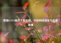警惕CCTV5插件下载陷阱，守护网络安全与合法观赛