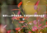 畅享Steam多电脑登录，无缝切换的便捷游戏生活