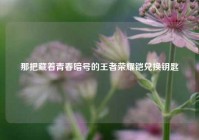那把藏着青春暗号的王者荣耀铠兑换钥匙