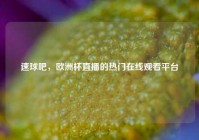 速球吧，欧洲杯直播的热门在线观看平台