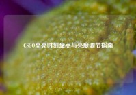 CSGO高亮时刻盘点与亮度调节指南