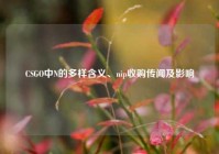 CSGO中N的多样含义、nip收购传闻及影响