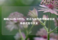揭秘CSGO练习代码，枪法与技巧提升秘籍及训练模式指令大全