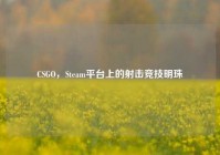 CSGO，Steam平台上的射击竞技明珠