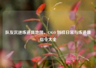 队友沉迷练道具地图，CSGO 别样日常与练道具指令大全