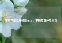 苹果平板免费畅玩PUBG，下载及新体验指南