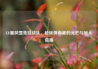 CF暴风雪竞技战队，枪林弹雨里的光芒与加入指南