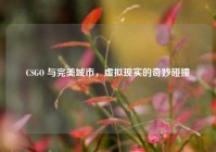 CSGO 与完美城市，虚拟现实的奇妙碰撞