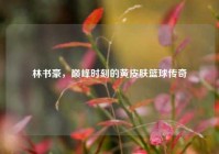 林书豪，巅峰时刻的黄皮肤篮球传奇