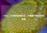 COD16，GPU驱动设置优化，大幅提升游戏体验指南